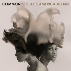 ImportCDs Black America Again, R&B, CD, Supporto fisico, Adulto, 1 dischi, 03/11/2016