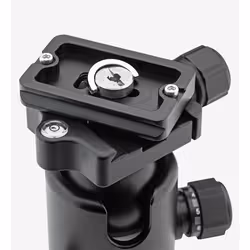 Benro B2 testa per treppiede Nero 1/4" Palla (forma)