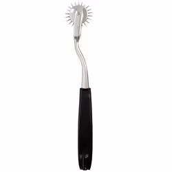ElectraStim Single Electro Wartenberg Pinwheel, Ruota di Wartenberg a scossa elettrica, Argento, Acrilico, Ottone, 170 mm, 1 ...