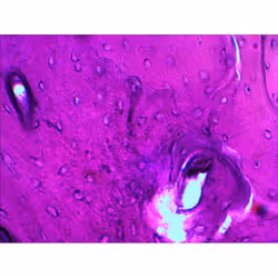 Levenhuk N20 NG Vetro Vetrino per microscopio - Vista aggiuntiva 6