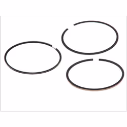 Alesaggio cilindro [mm]: 87,00. Indice: 08-101600-00. Numero del Produttore: 08-101600-00. N° componente: 1.75mm 005 P IKA, 2 ...
