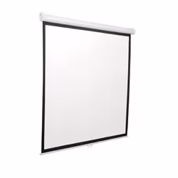 SBOX PSM-100 schermo per proiettore 2,54 m (100") 1:1