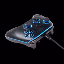 PowerA PCGP0382-01 periferica di gioco Nero RF/USB Gamepad Analogico/Digitale PC - Vista aggiuntiva 5
