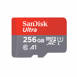 SanDisk Ultra, 256 GB, MicroSDXC, Classe 10, UHS-I, 100 MB/s, Class 1 (U1)