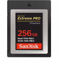 SanDisk Extreme Pro, 256 GB, CompactFlash, 1700 MB/s, 1200 MB/s, Nero
