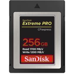 SanDisk Extreme Pro 256 GB CompactFlash