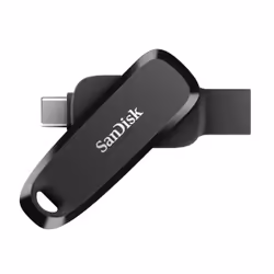 SanDisk SDDDC6-256G-G46, 256 GB, USB tipo-C, 3.2 Gen 1 (3.1 Gen 1), 100 MB/s, Girevole, Nero