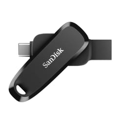 SanDisk SDDDC6-256G-G46 unità flash USB 256 GB USB tipo-C 3.2 Gen 1 (3.1 Gen 1) Nero