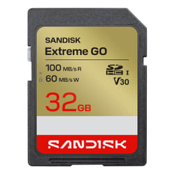 SanDisk Extreme GO 32 GB SDHC UHS-I