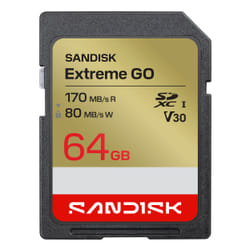 SanDisk Extreme GO 64 GB SDXC UHS-I
