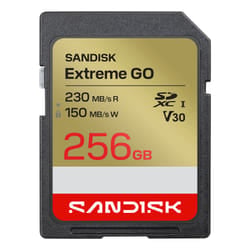 SanDisk Extreme GO 256 GB SDXC UHS-I