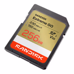 SanDisk Extreme GO 256 GB SDXC UHS-I - Vista aggiuntiva 2
