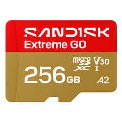 SanDisk Extreme GO 256 GB MicroSDXC UHS-I