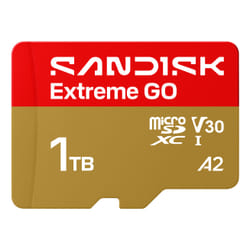 SanDisk Extreme GO 1 TB MicroSDXC UHS-I