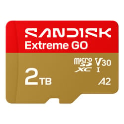SanDisk Extreme GO 2 TB MicroSDXC UHS-I