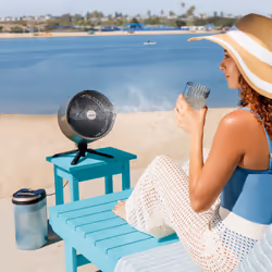 Shark FA300EU ventilatore Antracite