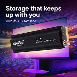 Crucial P310 4 TB M.2 PCI Express 4.0 NVMe QLC 3D NAND - Vista aggiuntiva 6