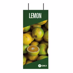 OKI FASTDISPLAY, Metallo, 400 mm, 160 mm, 950 mm