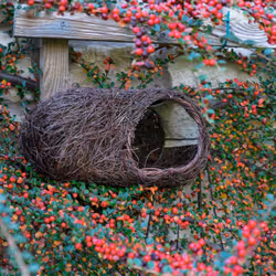 Wildlife Community SKROBRNP, Libera installazione, Marrone, Brushwood, Malacca, Acciaio, 145 mm, 270 mm, 130 mm