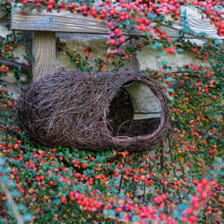 Wildlife Community SKROBRNP Libera installazione