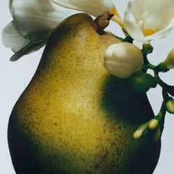 Jo Malone English Pear & Freesia Cologne acqua di colonia 100 ml Donna - Vista aggiuntiva 2