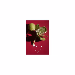 AHAVA 80314065 antirughe e antistatico