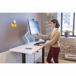Ergotron MXV Series MXV Desk Monitor Arm 86,4 cm (34") Scrivania Bianco