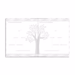 Pearhead PHP62206, Grigio, Bianco, Copertina rigida, Bambino, Qualsiasi tipo, 1 pz