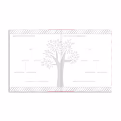 Pearhead PHP62208, Rosa, Bianco, Copertina rigida, Bambino, Femmina, 1 pz
