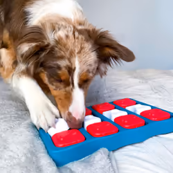 Outward Hound Dog Brick