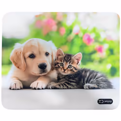 XD Enjoy XDYM0022 mouse Universale Mano destra RF Wireless 1200 DPI - Vista aggiuntiva 3