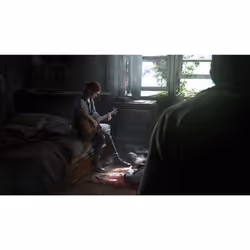 Sony Interactive Entertainment The Last of Us Parte II - Vista aggiuntiva 5