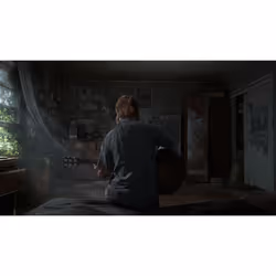 Sony Interactive Entertainment The Last of Us Parte II - Vista aggiuntiva 8