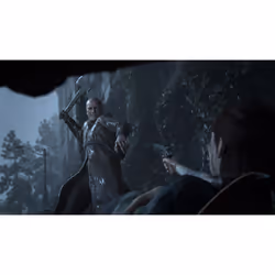 Sony The Last of Us Parte II, PS4 - Vista aggiuntiva 6