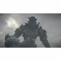 Sony Interactive Entertainment Shadow of the Colossus, PlayStation 4, T (Teen)