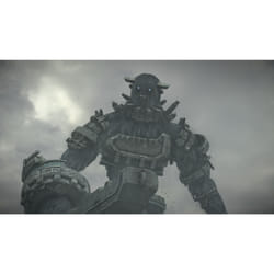 Sony Interactive Entertainment Shadow of the Colossus PlayStation 4