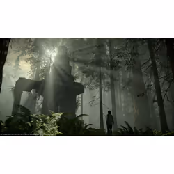 Sony Interactive Entertainment Shadow of the Colossus PlayStation 4 - Vista aggiuntiva 4