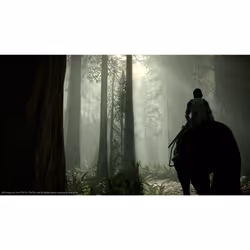 Sony Interactive Entertainment Shadow of the Colossus PlayStation 4 - Vista aggiuntiva 6