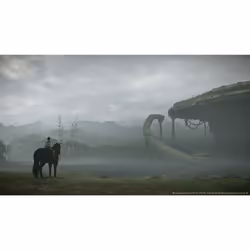 Sony Interactive Entertainment Shadow of the Colossus PlayStation 4 - Vista aggiuntiva 8