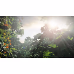 Sony Interactive Entertainment The Last of Us - Remastered - PLAYSTATION HITS - Vista aggiuntiva 2
