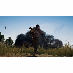 Bluehole Studio PlayerUnknown's Battlegrounds Standard PlayStation 4