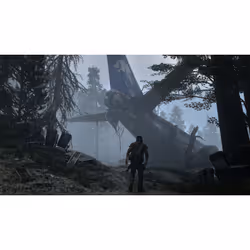 Sony Interactive Entertainment Days Gone - Vista aggiuntiva 4