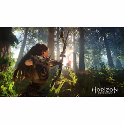 Sony Interactive Entertainment Horizon : Zero Dawn PlayStation 4 - Vista aggiuntiva 5