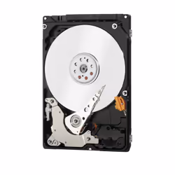 Western Digital Blue PC Mobile disco rigido interno 500 GB 5400 Giri/min 16 MB 2.5" Serial ATA III
