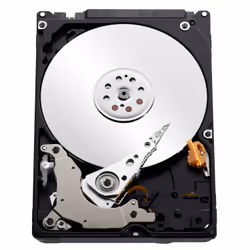 Western Digital Blue PC Mobile disco rigido interno 500 GB 5400 Giri/min 16 MB 2.5" Serial ATA III