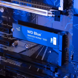 Western Digital Blue SN5000 500 GB M.2 PCI Express 4.0 NVMe 3D TLC NAND - Vista aggiuntiva 4