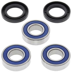 All Balls Kit cuscinetto ruota posteriore Suzuki RM125/250 / Kawasaki VN900/900B