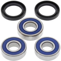 All Balls Honda CBR600F2 kit cuscinetti ruota posteriori