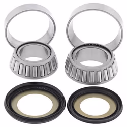 All Balls Kit cuscinetti piantone sterzo Kawasaki KLX110
