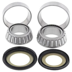 All Balls Kit cuscinetti piantone sterzo Kawasaki KLX110